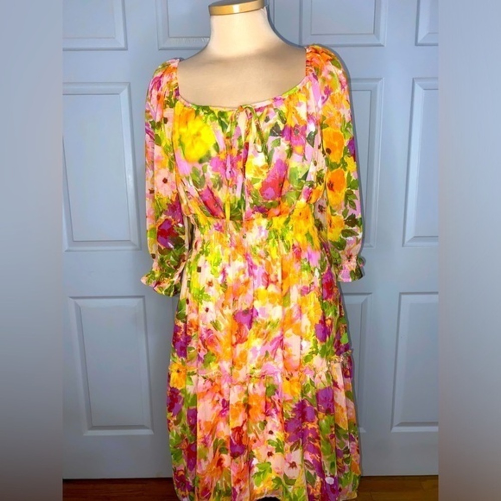 Fig & Flower Anthropologie Floral Boho Chiffon Dress Size M Colorful